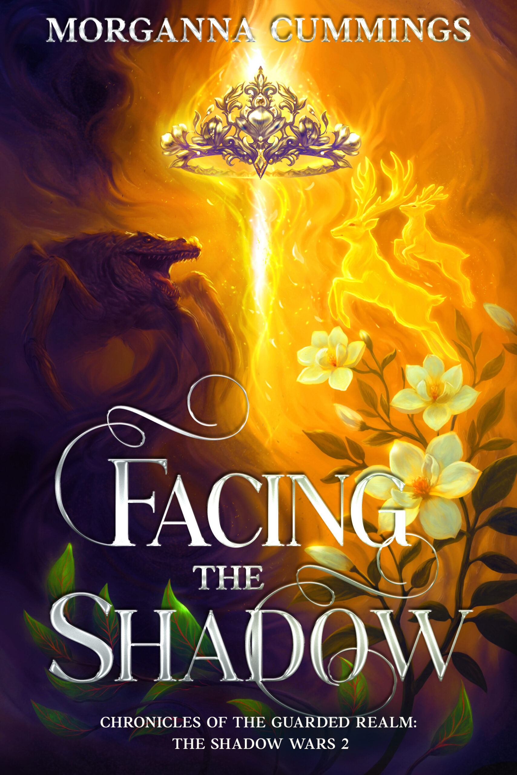 Facing the Shadow